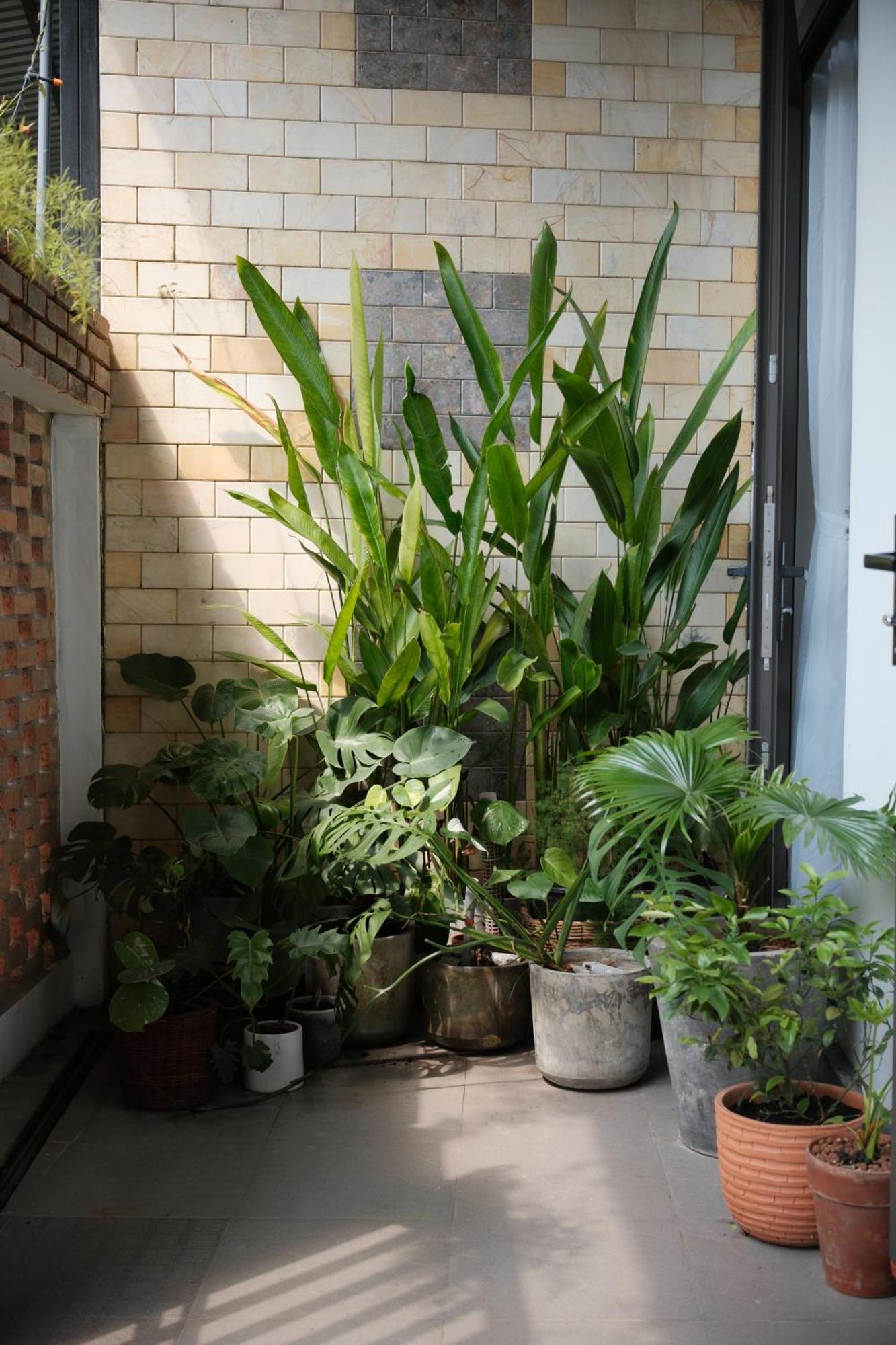 Glory Hue Homestay Luaran gambar